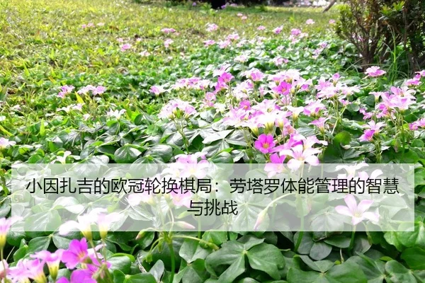 xiao-yin-zha-ji-de-ou-guan-lun-huan-qi-ju-lao-ta-luo-ti-neng-guan-li-de-zhi-hui-yu-tiao-zhan-2-467.jpg