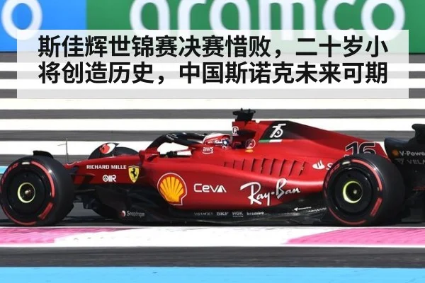 斯佳辉世锦赛决赛惜败，二十岁小将创造历史，中国斯诺克未来可期